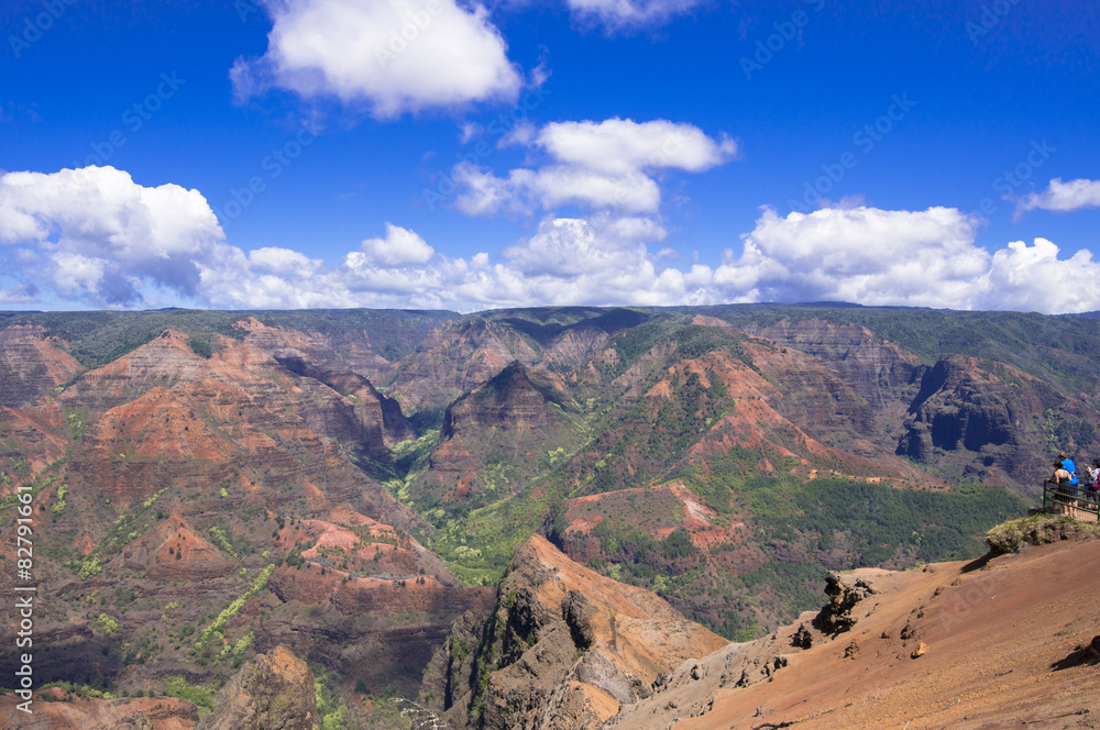 Fototapeta premium カウアイ島のワイメア渓谷