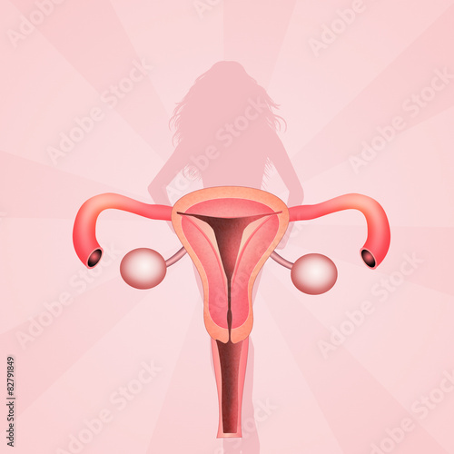 Obraz na plátne female genitals