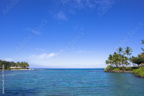 ハワイ島の椰子の木とワイコロアのびーち