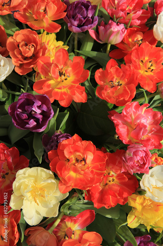 Multicolored tulip bouquet