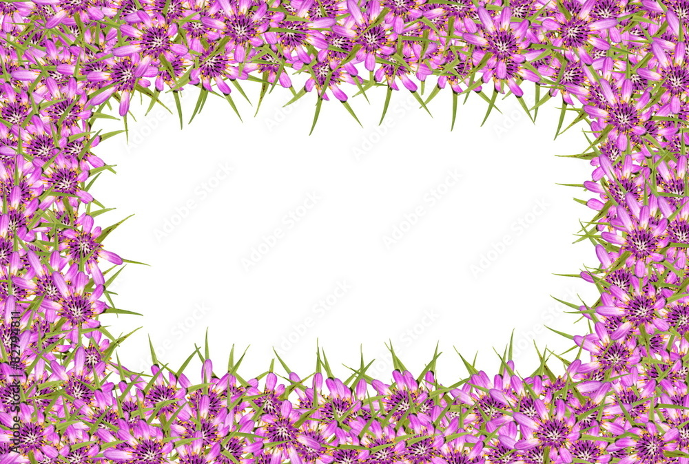 Fototapeta premium Abstract red purple unknown flowers frame