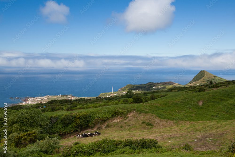 Typical volcanic landscape on Terceira island