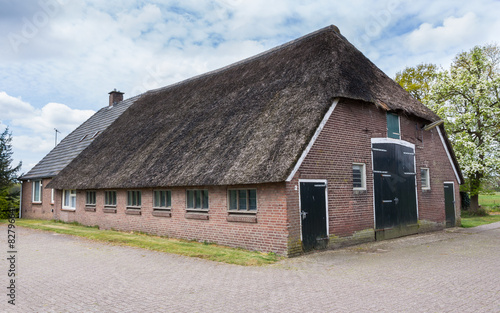 Old farmhouse with reed roof in the Netherlands