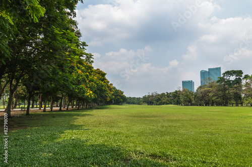 Fototapeta Naklejka Na Ścianę i Meble -  Landscape lawn  in a park with trees  and clouds sky