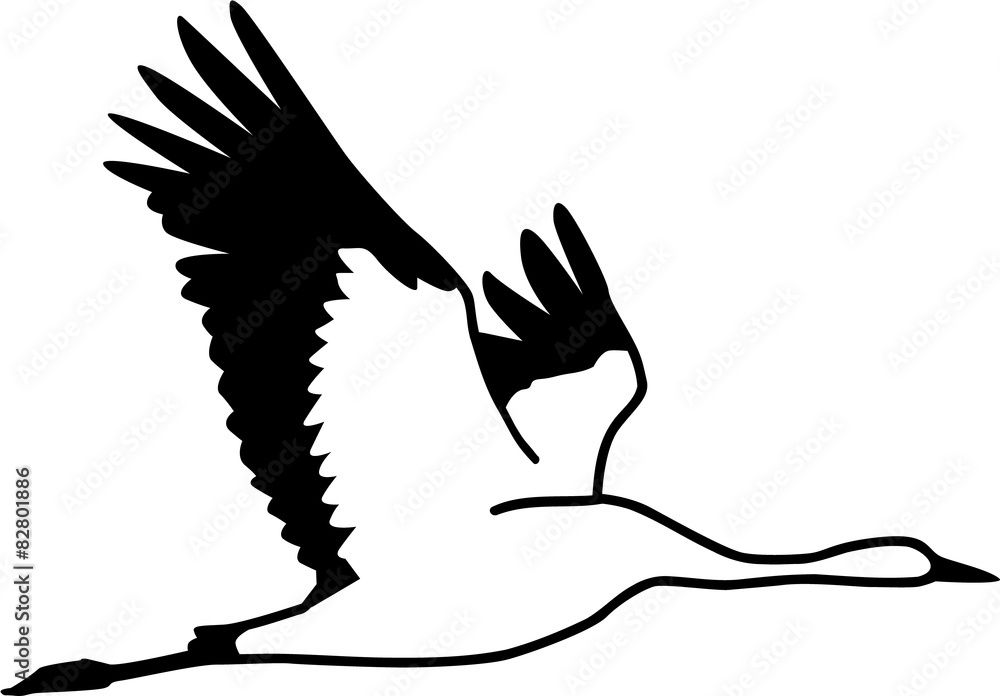 Fototapeta premium Crane flying