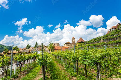 Dürnstein, Wachau  photo