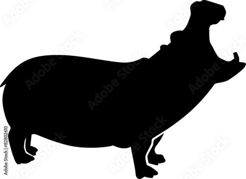 Hippopotamus roaring