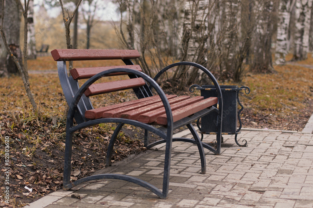 bench in the park the sun's rays