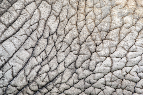 Elephant skin nature pattern