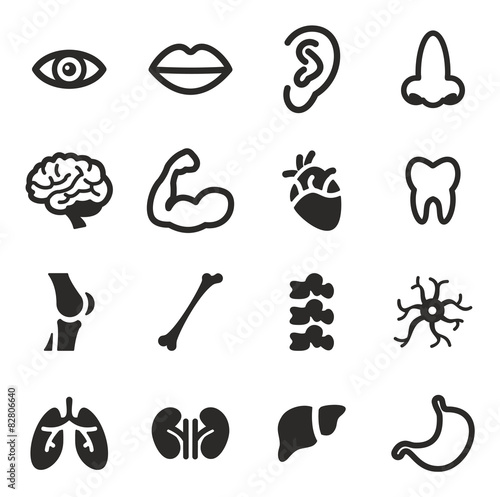 Human Anatomy Icons