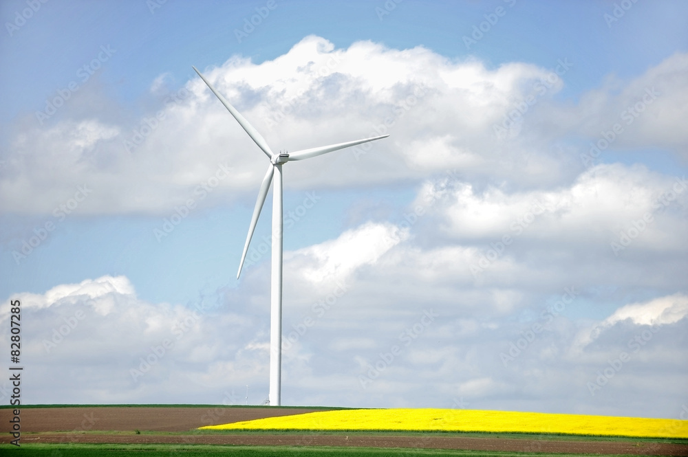 Fototapeta premium One wind turbine