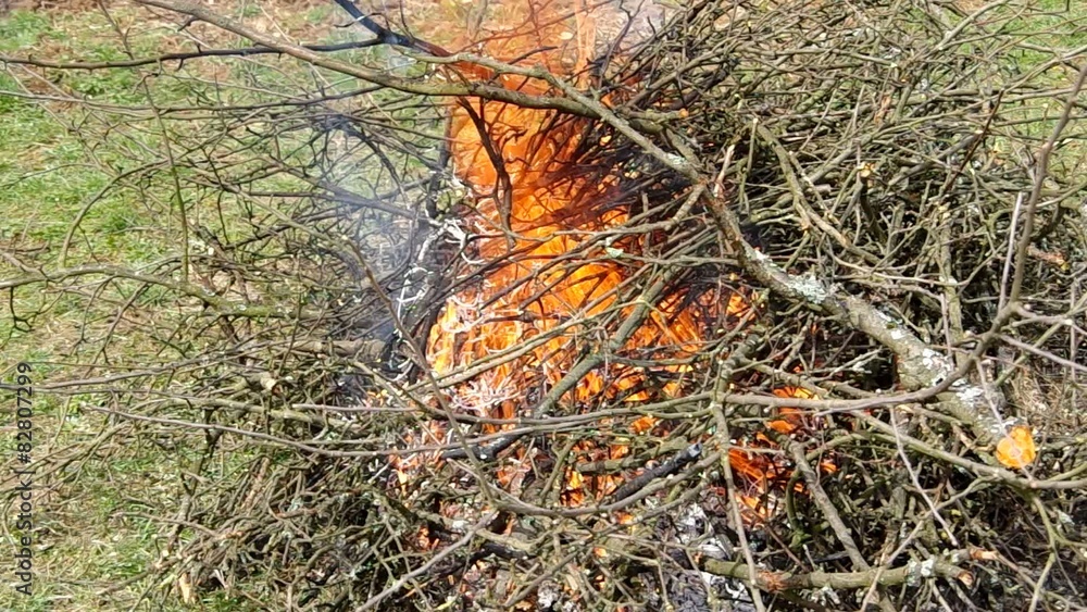 Burning tree branches, cut off in spring
Burning tree branches, cut off in spring
