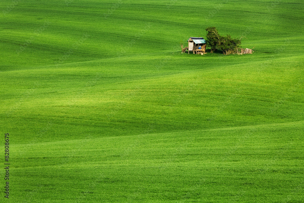 Field waves with hut, South Moravia Field waves with hut, South Moravia