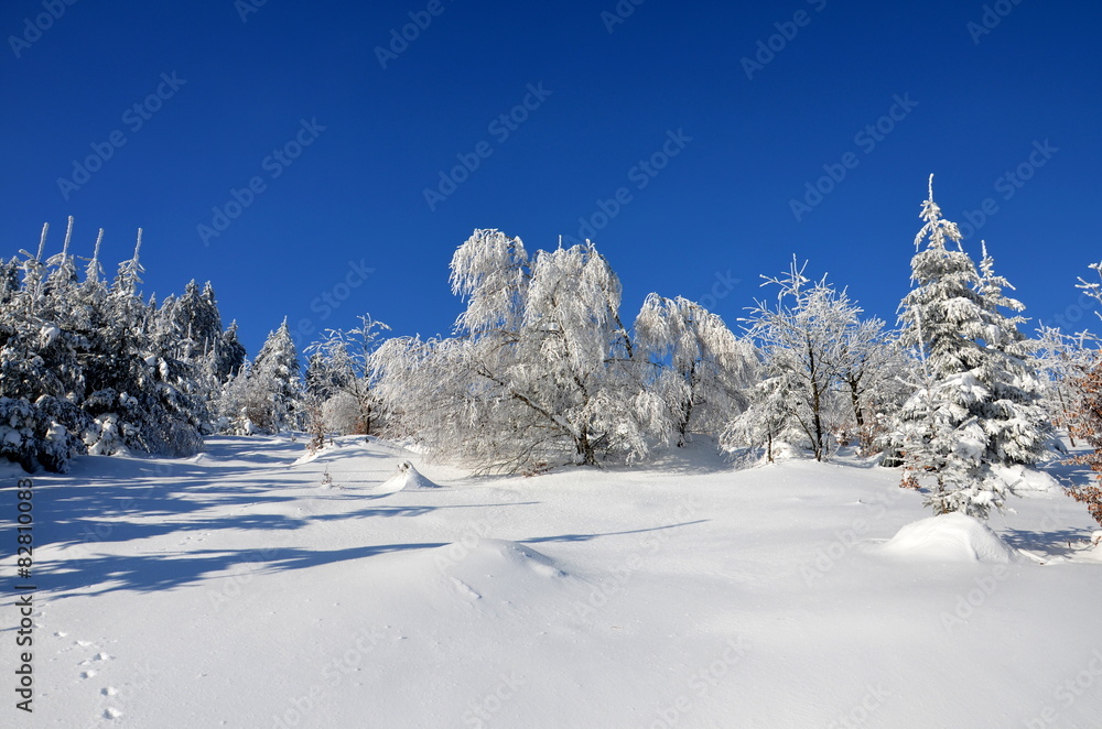 custom made wallpaper toronto digitalSnow landscape