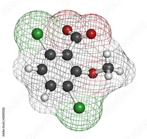 Hydroxycitric acid  (HCA, hydroxycitrate) molecule.  photo