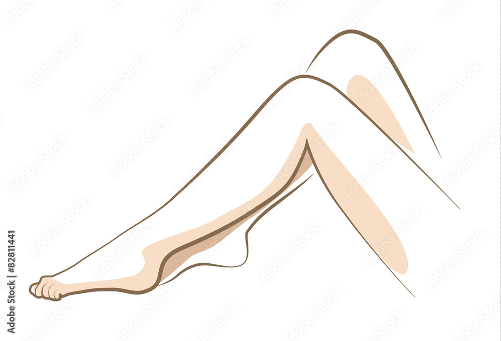 Close up woman legs drawn in vector lines Close up woman legs drawn in vector lines