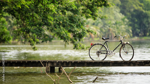 Vintage Bicycle