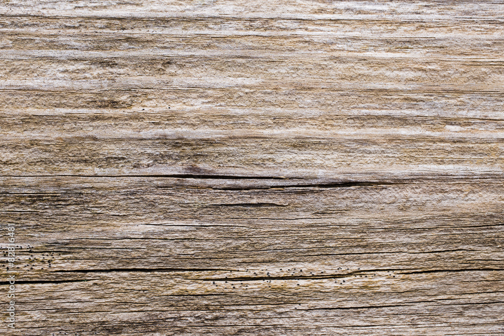 Naklejka premium Wooden background.