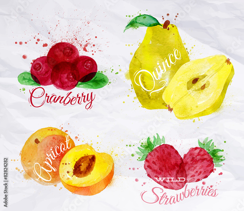 Fruit watercolor cranberry, quince, apricot, wild strawberries