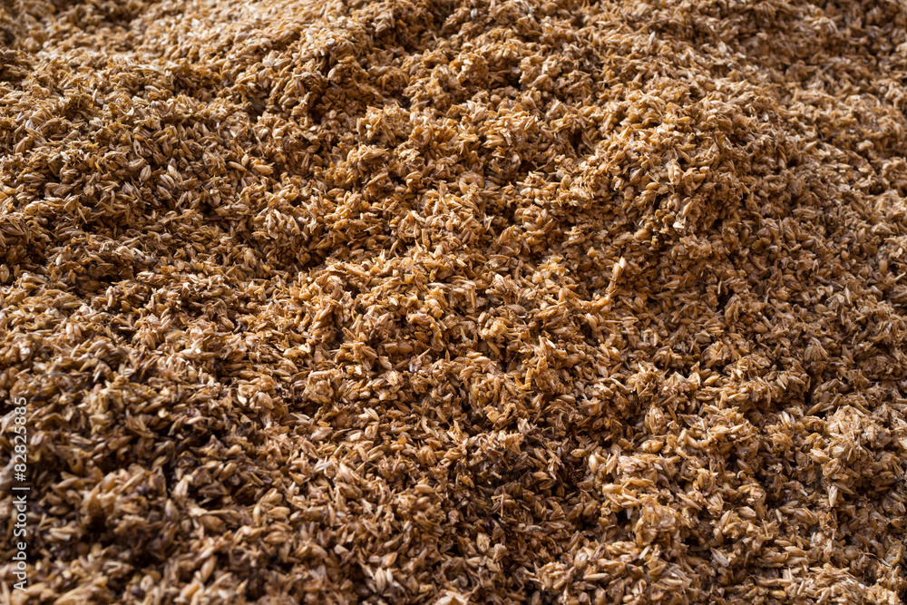 Crushed malt grains fermenting Crushed malt grains fermenting