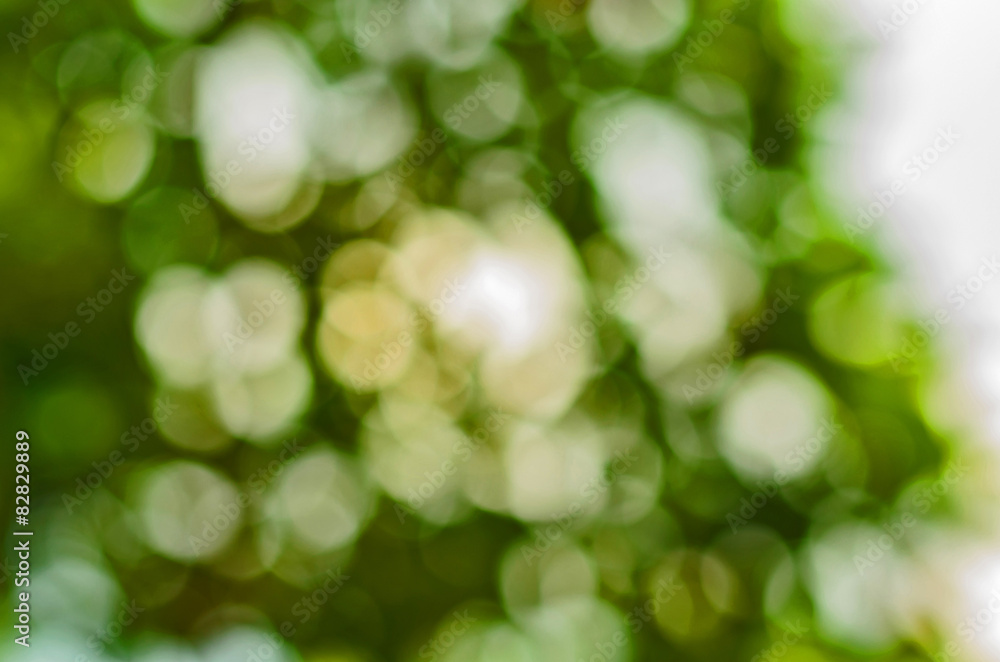 Abstract glowing light on a green background Abstract glowing light on a green background