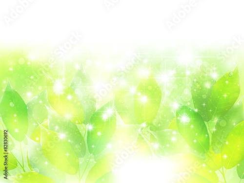 葉　初夏　背景