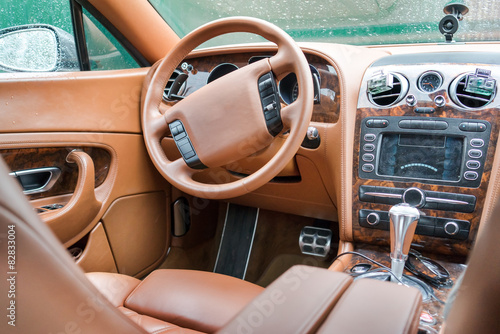 Business car interior in brown colors © elen31