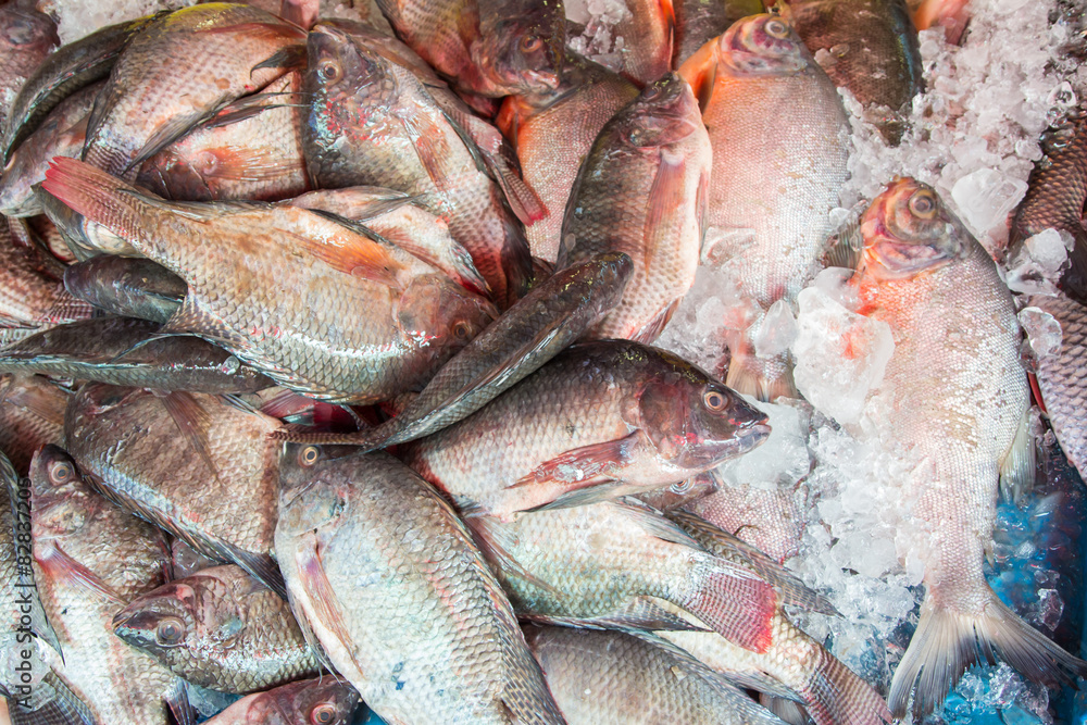 Fresh fish at the market,Thailand