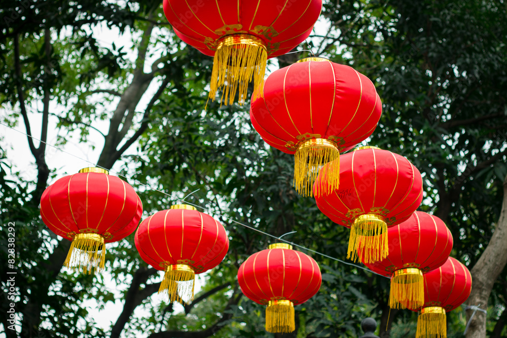 Obraz premium Chinese lantern