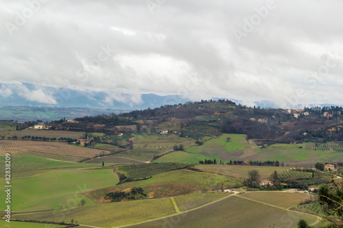 landscape near Montepulciano  Italy