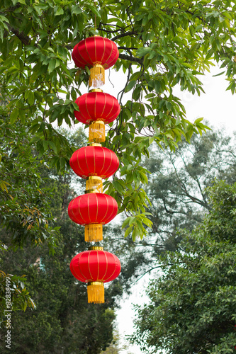Photography Chinese lantern