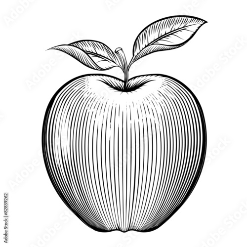 Vector engraving apple
