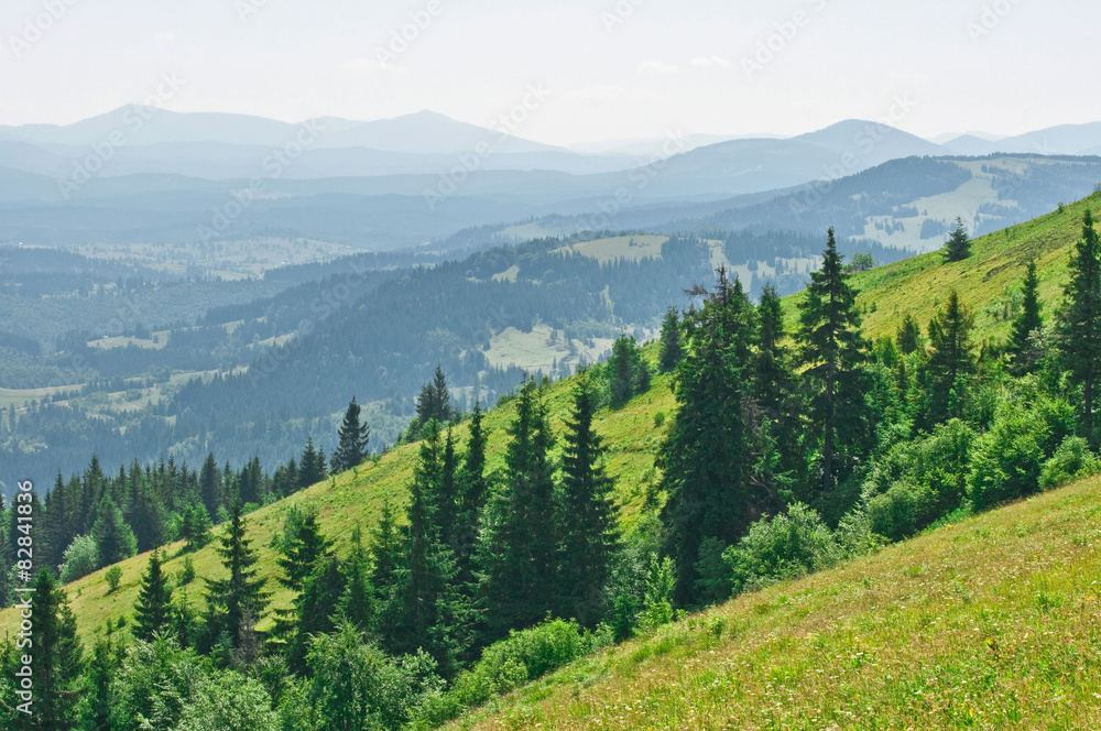 Summer mountain landscape