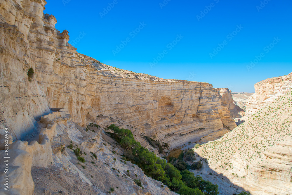 Canyon in the desert of the Negev, Israel