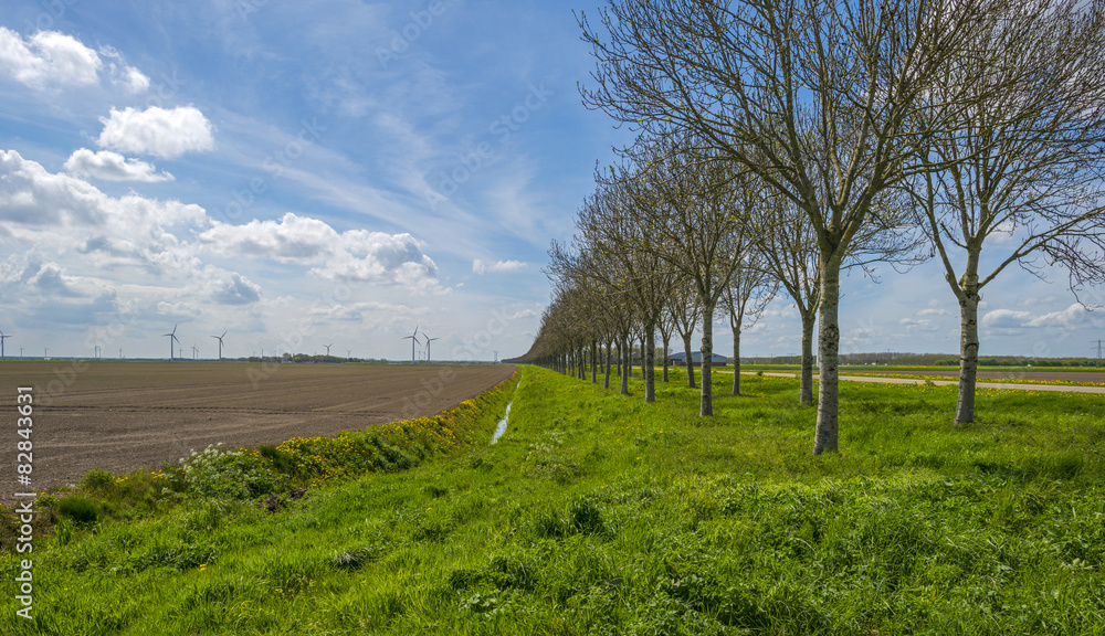 Fototapeta premium Country road through a rural landscape in spring