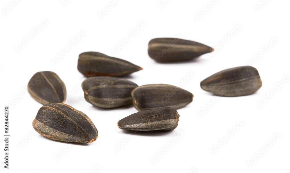 seeds seeds