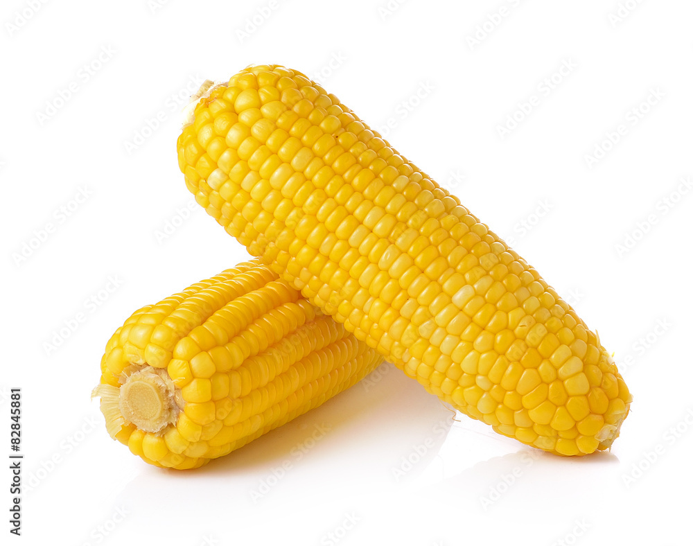 corn on white background corn on white background