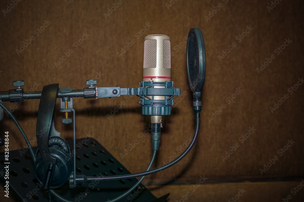 Professional condenser studio microphone Professional condenser studio microphone