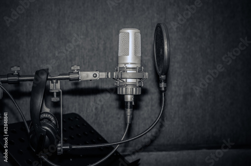Professional condenser studio microphone