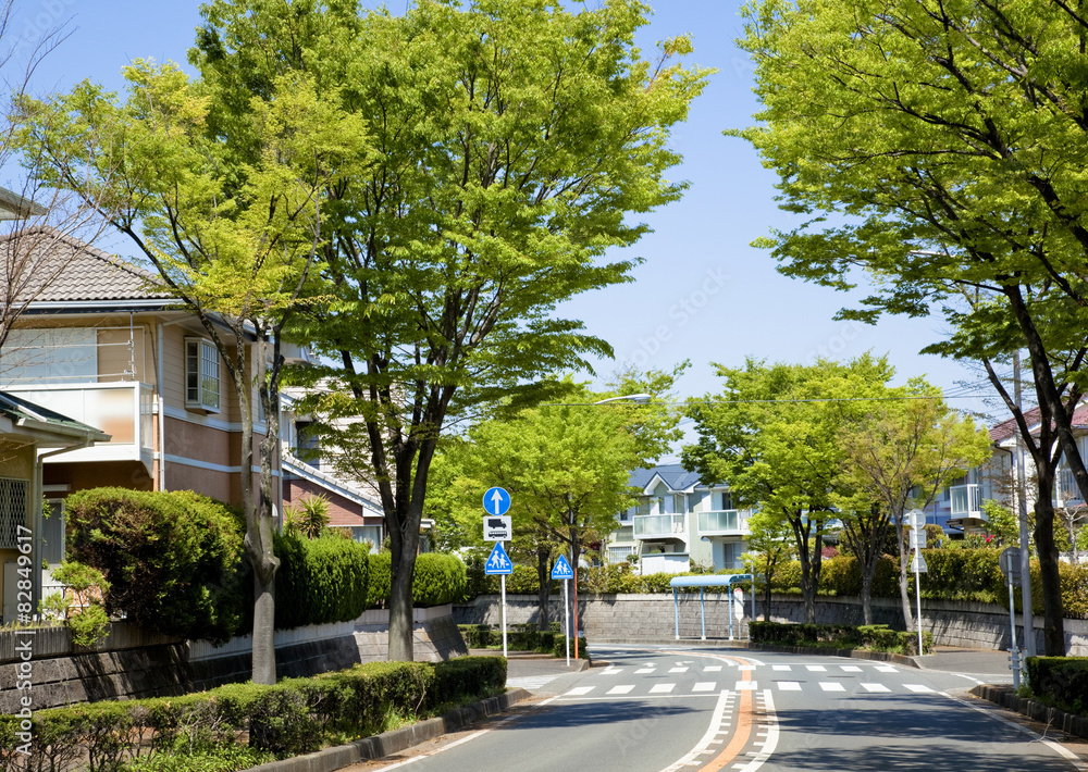 横浜の山の手住宅街新緑