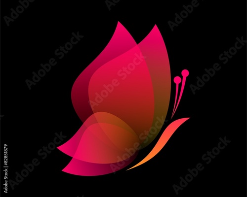 Butterfly Beauty v.1