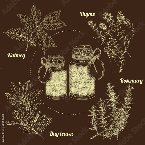 vintage jars with spices herbs seasoning chalkboard hand drawing