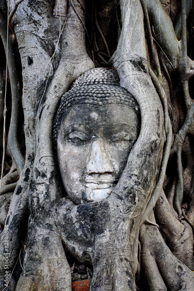 Buddha's head is embedded in tree roots, a beautiful ancient sit