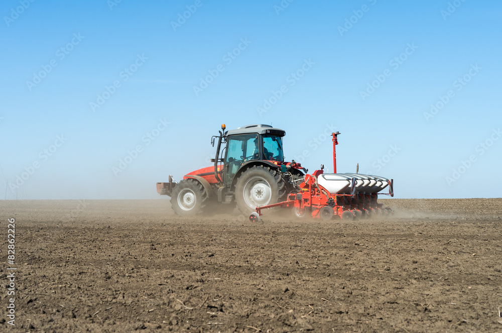 Fototapeta premium Sowing soy
