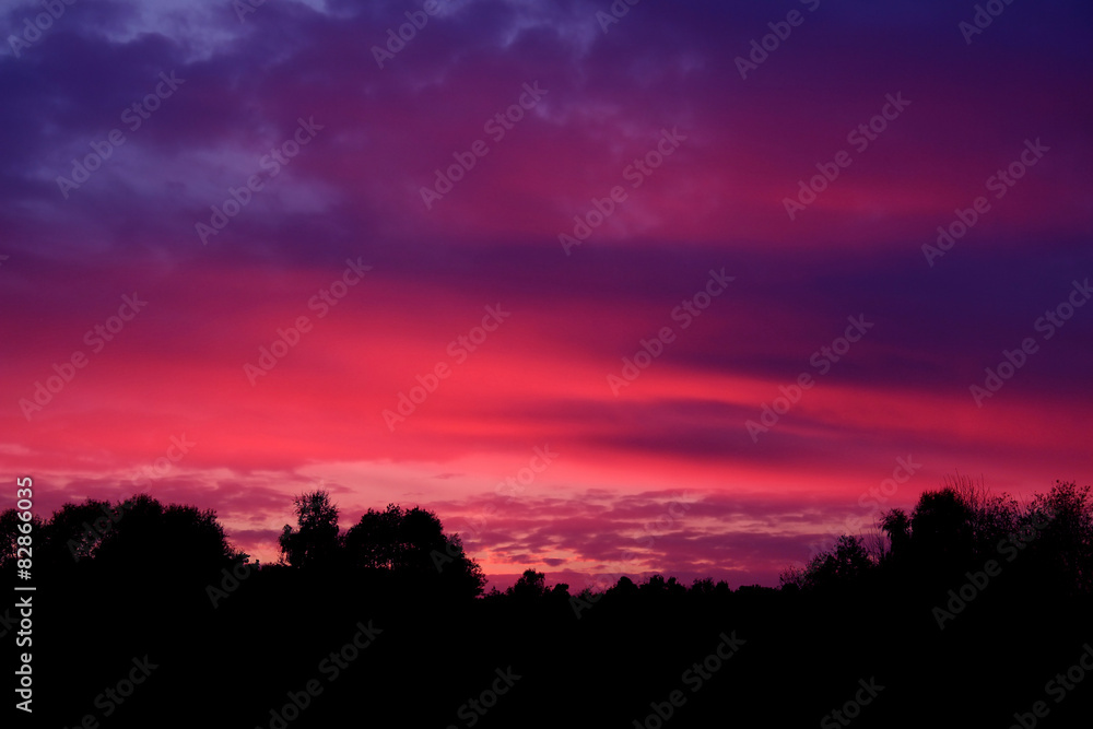 Crimson sunset over forest