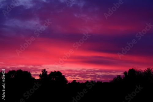 Crimson sunset over forest