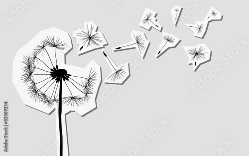 Fototapeta Naklejka Na Ścianę i Meble -  silhouettes of dandelion in the wind