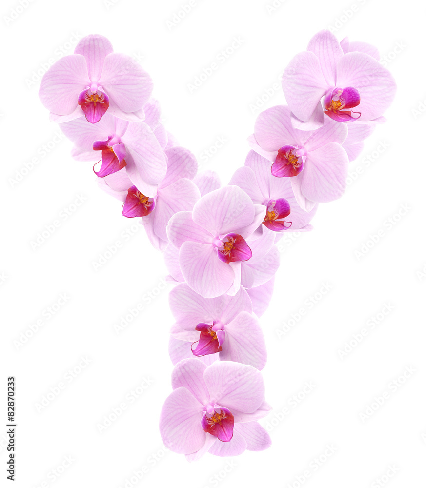 letter Y from orchid flowers