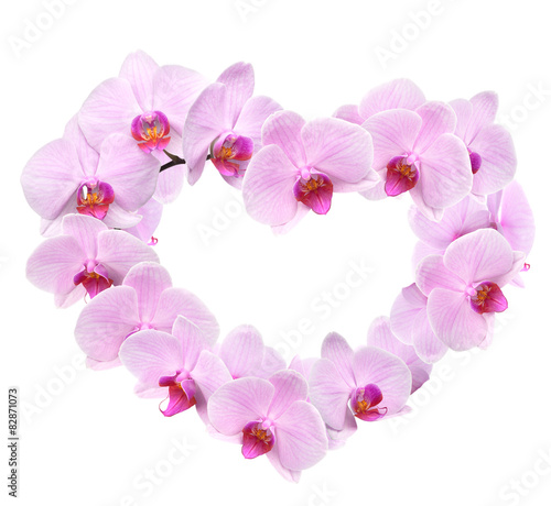Valentines Day heart made of pink orchid