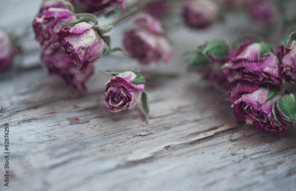 Dry roses on the old wood background Dry roses on the old wood background